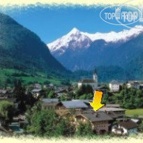 Alpenrose