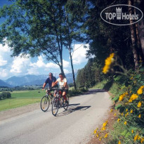 Gasthof Hammerschmied 