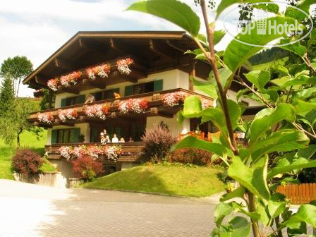 Hotel photo Pension Mullauerhof 3*