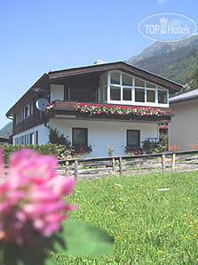 Hotel photo Michel Apartments APT