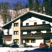 Hotel photo Pension Riedlsperger 3*