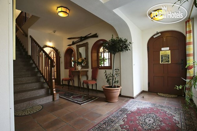 Фотографии отеля  Lake and Cityhotel Edelweiss  