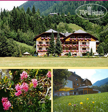 Hotelier's photos Almrausch 4*
