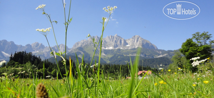 Новые добавленные фото туристов Pension Rainhof 3*