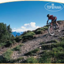Alpenhotel Tirol