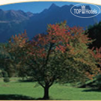 Alpenhotel Tirol