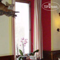 Schwarzer Adler Hotel  