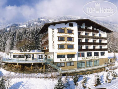Hotel photo Waldfriede 4*