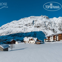 Alpenrose
