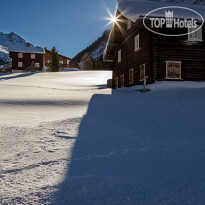 Alpenrose