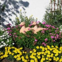 Haus am Fohrenwald Сад