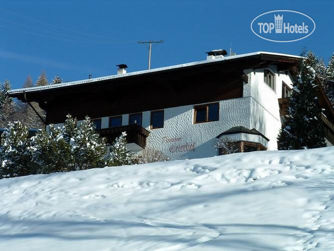 Hotel photo Erlerhof APT