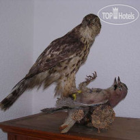 Bahlerhof Haus C2 Интерьер