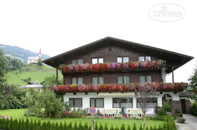 Hotel photo Penz Pension C2 