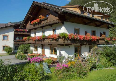 Hotel photo Elisabeth Pension 3*