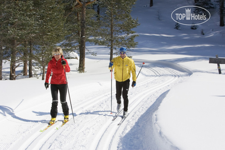 New photos from tourists Elisabeth 3*