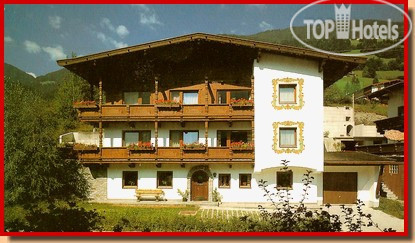 Hotel photo Alpina 3*