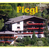 Fiegl 