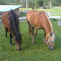 Apartment Haus Dr. Eichhorn 