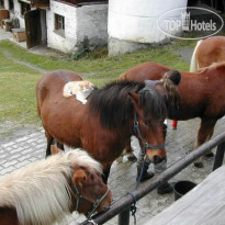 Apartment Haus Dr. Eichhorn 