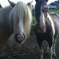 Apartment Haus Dr. Eichhorn 