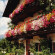 Rainhof 