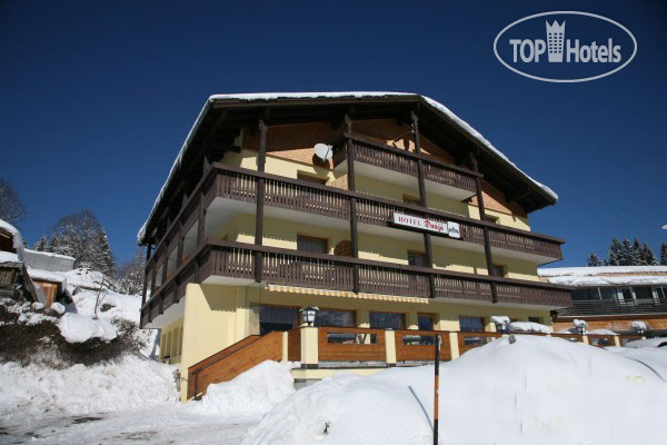 Hotel photo Dunza 3*