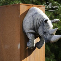 ARCOTEL Nike Интерьер