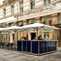 Ambassador