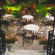 Park Villa 