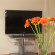 Belvedere Appartements 