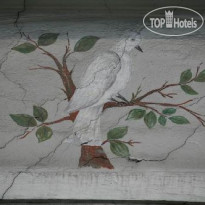 Altstadthotel Weisse Taube