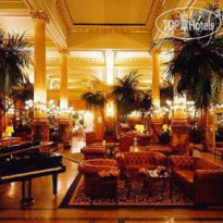 Metropole 