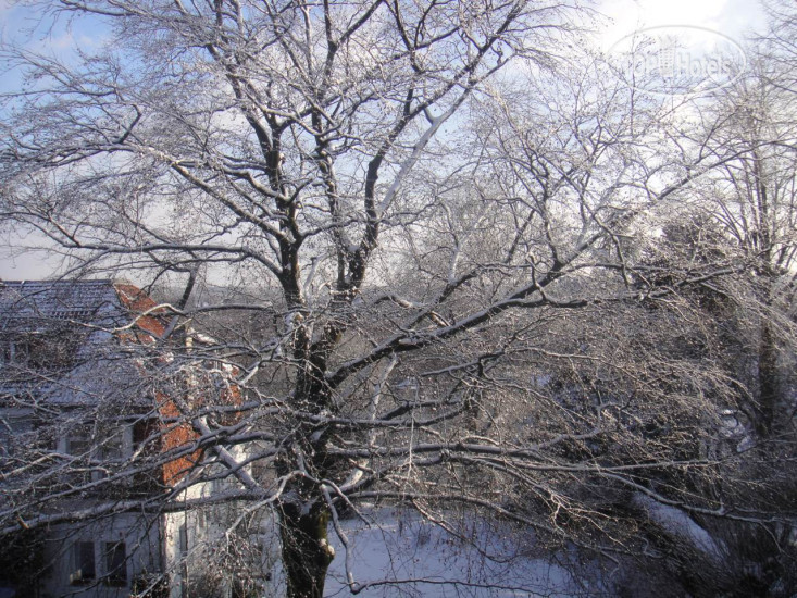 New photos from tourists Salve 