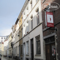 Terre Neuve