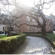 Elzenveld Территория отеля