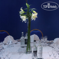 Danubious Hotel Regents Park 