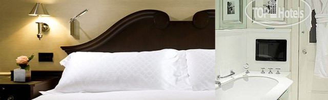 New photos from tourists The Connaught 5*