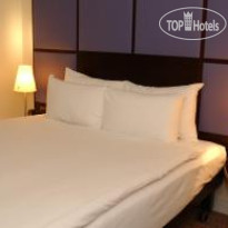 Ibis Styles London Southwark Rose 
