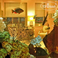 Myhotel Chelsea 