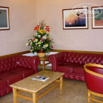 Nayland