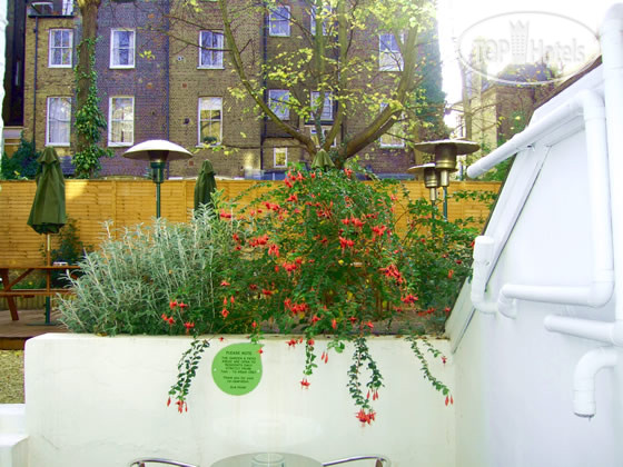 New photos from tourists W14 Hotel 3*