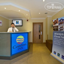 Comfort Inn Hyde Park 