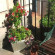 Eyre Guest House 
