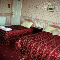 Ivy Guest House 