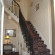 Regis Guesthouse 