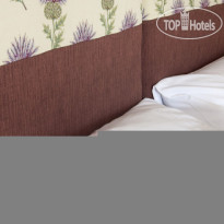 The Ness Guest House 
