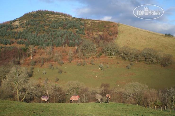 New photos from tourists Maes y Gwaelod 4*