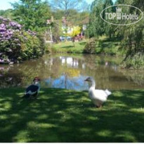 PowderMills Country House Территория отеля