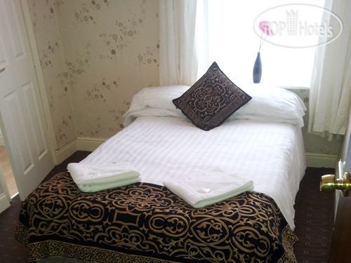 New photos from tourists Albert Hotel 2*